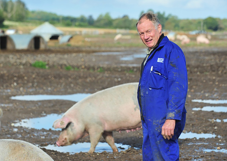a man standing next to a pig